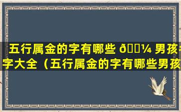 五行属金的字有哪些 🌼 男孩名字大全（五行属金的字有哪些男孩名字大全四个字 🌵 ）